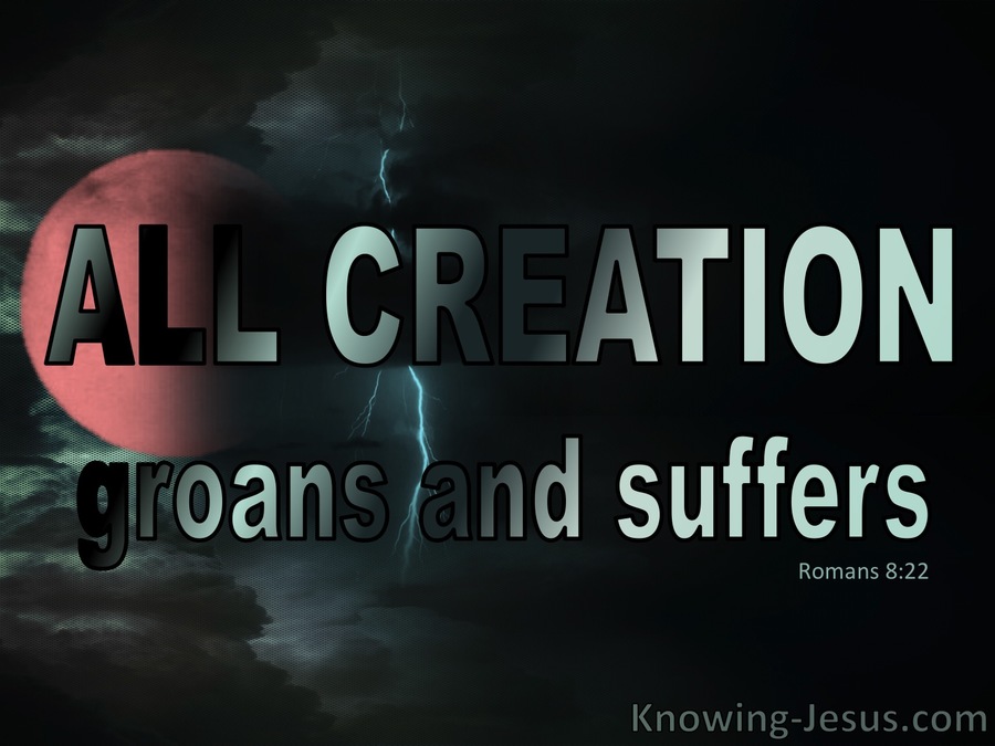 Romans 8:22 The Whole Creation Groans and Suffers (aqua)